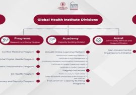 Global Health Institute, American University of Beirut – divisions overview slide