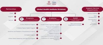 Global Health Institute, American University of Beirut – divisions overview slide